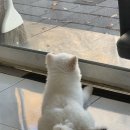 네일에취하다