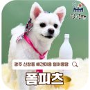 털이몽땅 이미지