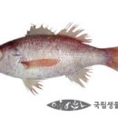 송학구이 이미지