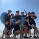 박현진 Daum카페
