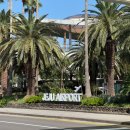 애월숲에201 | 제주도 5박6일 여행 경비, 숙소, 일정, 렌트, 스냅 총정리