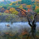 주산지 이미지