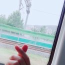 차니차니 이미지