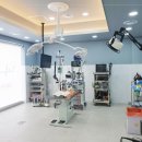 부산동물병원 이미지