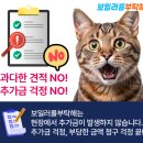 경동보일러서비스센터 이미지