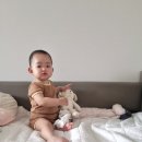 거북이 뿔났다 | 한결이 빛본지 309일차