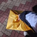 모현큰약국 | 전국 대학생 자퇴 호소의 달 일기
