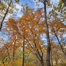 평창 백룡동굴 이미지