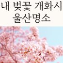 풍류이름소 이미지