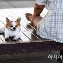 한강유치원 이미지