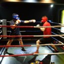 불광복싱클럽 이미지