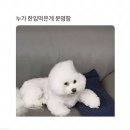 새벽 Daum카페