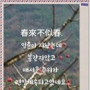 관심길-3 네이버블로그