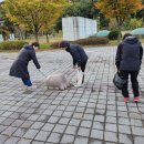 힐링워커스 이미지