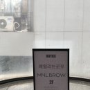 강남역 속눈썹펌 메럴리브로우 케라틴영양속눈썹펌 솔직 후기