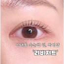 상대동 행정복지센터 회의실 | 진주 속눈썹 펌 꼼꼼한 곳 왁싱샵 상대동 리비지트 후기