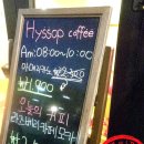히솝 hyssop