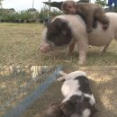 김재윤농장 이미지