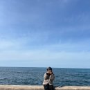 체험 추천ㅣ쓩쓩렌탈샵 애월점 제주 해안 도로 제주도 전기스쿠터 후기ㅣ제주 연인데이트 코스 추천