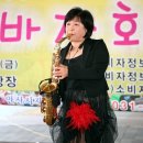 상록수 이미지