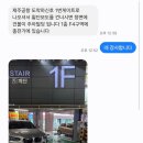 고속카서비스 | 제주 한달살기 - 제주고속 차량 탁송 서비스 이용 후기 🚗🌴