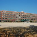 분당-239 이미지