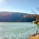호숫가의 풍경 | 파주 감성 호숫가 카페, ‘애룡저수지 카페’에서 보내는 여유로운 오후