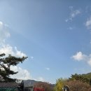 하늘재 | ​[충주 단풍여행] 미륵대원지 하늘재 가을 산책 솔직 후기: 2km 등반 후 매점에서 찾은 반전 꿀팁