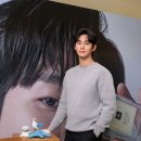 우드세이지 이미지