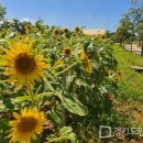 평택시 농업생태원 방문자센터 이미지