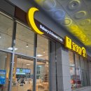 달맞이 호두네 동물병원 | 분당빵집 서현역베이커리 해운대달맞이빵