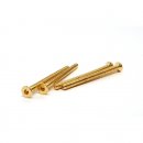 [써펀트코리아] 티웍스(T-WORK'S) Gold Plated Hex. Countersink Steel Screws 이미지