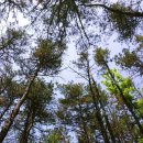 천보산자연휴양림캠핑장 이미지