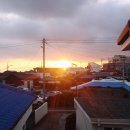 폭낭 올레집 이미지