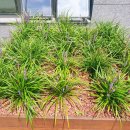 나비사주카페 이미지