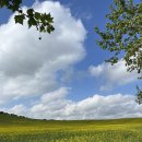 현리시가지 자전거길 | 산티아고 프랑스길 5일차 후기 | 푸엔테 라 레이나-에스테야 | 거리·난이도·꿀팁