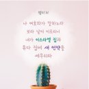 [하나님의 교회 안상홍님] 유월절 새 언약을 세우신 뜻!! 이미지