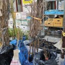 창원농약사 이미지