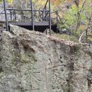 백암&amp;내장산 단풍여행(25.11.8.토요일) 이미지