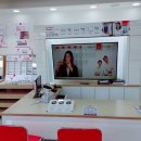 불란서안경 이미지