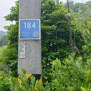 산디마을 생태공원 오토캠핑장 | 녹음이 짙은 5월 어디 가지? 산디마을 생태공원 캠핑장 가족 캠핑장