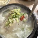 백제계삼탕 - 김해시 | 창원 상남동 맛집 백제계삼탕, 여름 몸보신으로 딱! 삼계탕 후기(내돈내산)