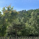 설악산네 이미지