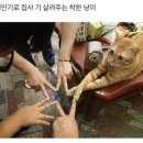 8. 여름 끝자락