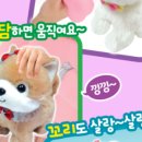 주영카페