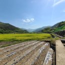 화개중학교 이미지