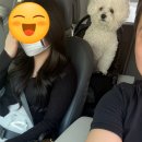 장터생고기전문점 이미지