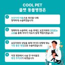 노엘동물병원 | 강아지 슬개골 십자인대 수술 동물병원 후기 | 뒷다리 절뚝거리는 증상