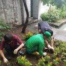 선우아파트경로당 이미지