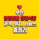파트라슈 펫 택시 | 부산 반려동물 장례식장 비교 분석: 가격, 위치, 서비스 총정리